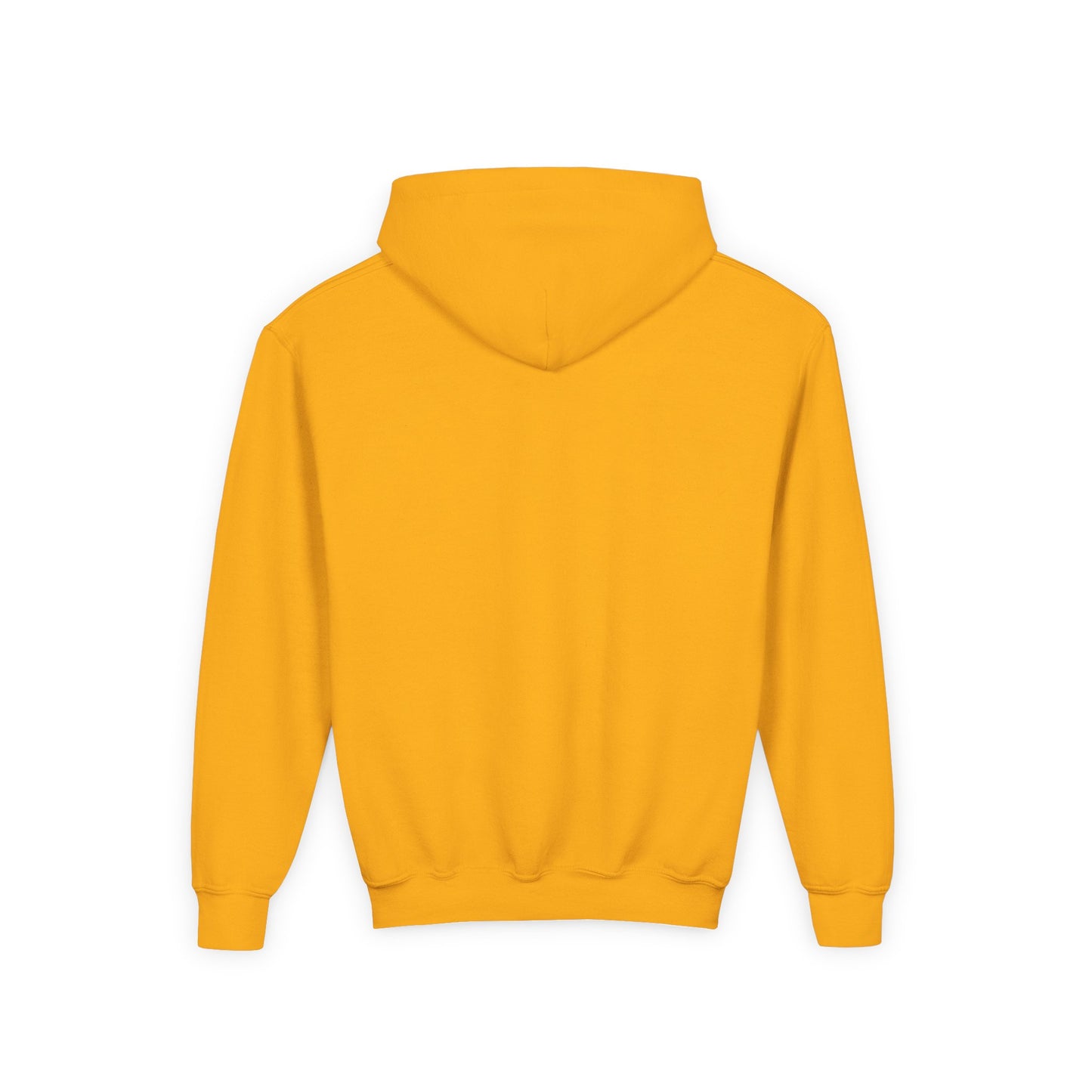 Inspire Youth Hoodie - Cozy Sweatshirt for Teens, Inspirational Gift, Casual Outfit, Schoolwear, Birthday Present