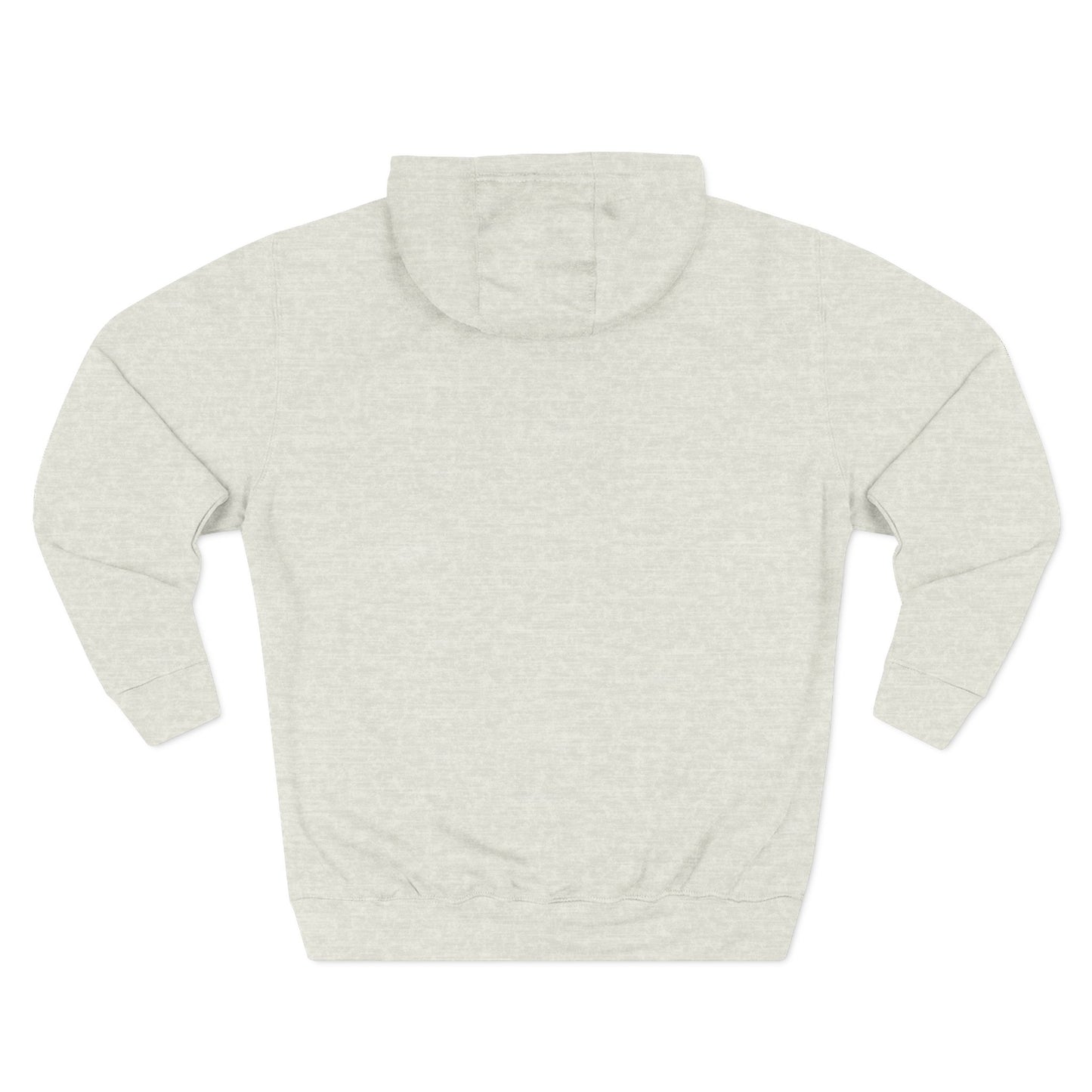 Inspiring Three-Panel Fleece Hoodie, Cozy Pullover, Motivational Gift, Everyday Wear, Layering Essential