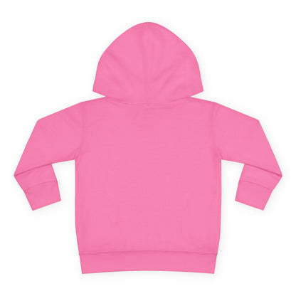 Cute Toddler Pullover Fleece Hoodie, Baby Sweatshirt, Kids Fashion Hoodie, Toddler Gifts, Cozy Childrenswear, Holiday Apparel