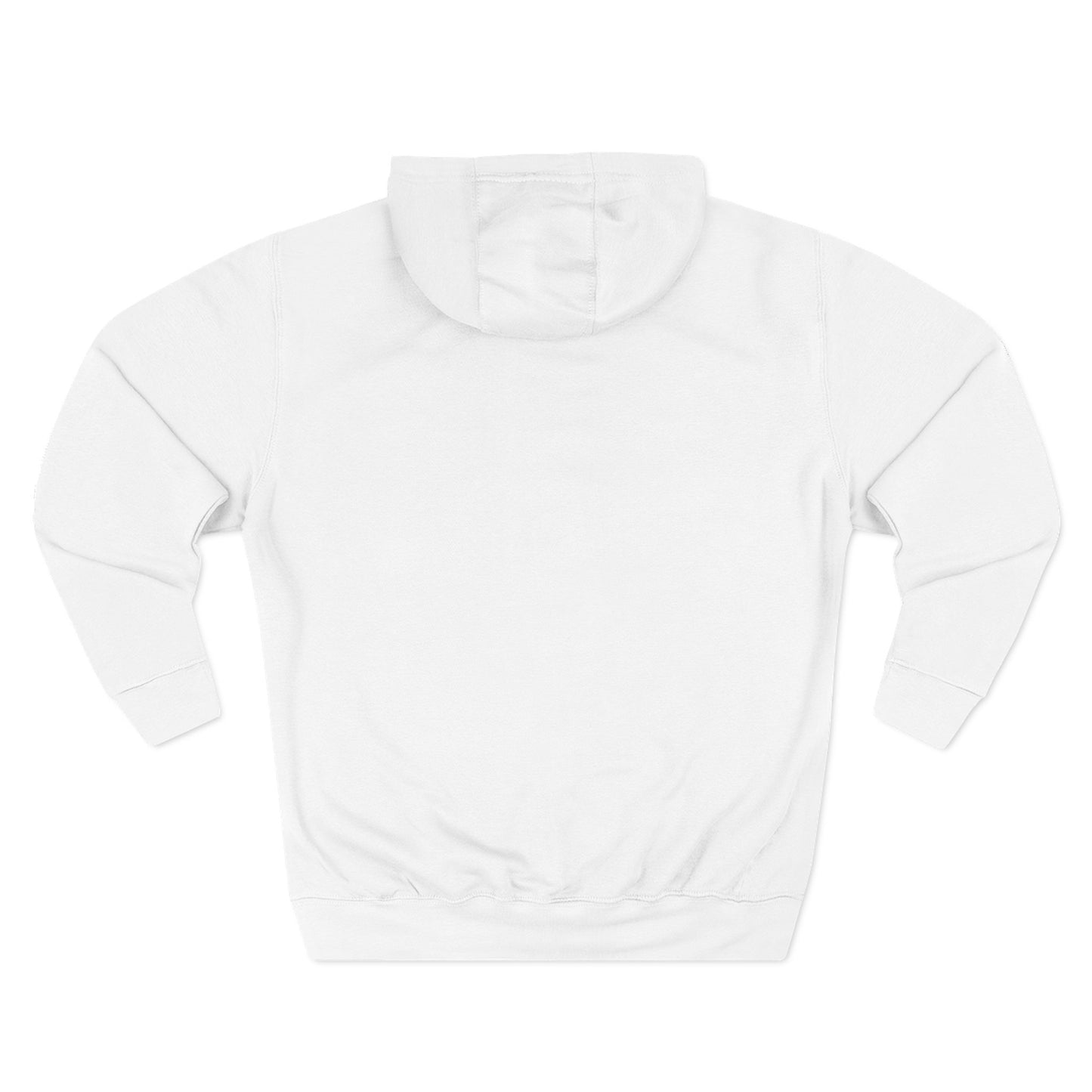 Inspiring Three-Panel Fleece Hoodie, Cozy Pullover, Motivational Gift, Everyday Wear, Layering Essential