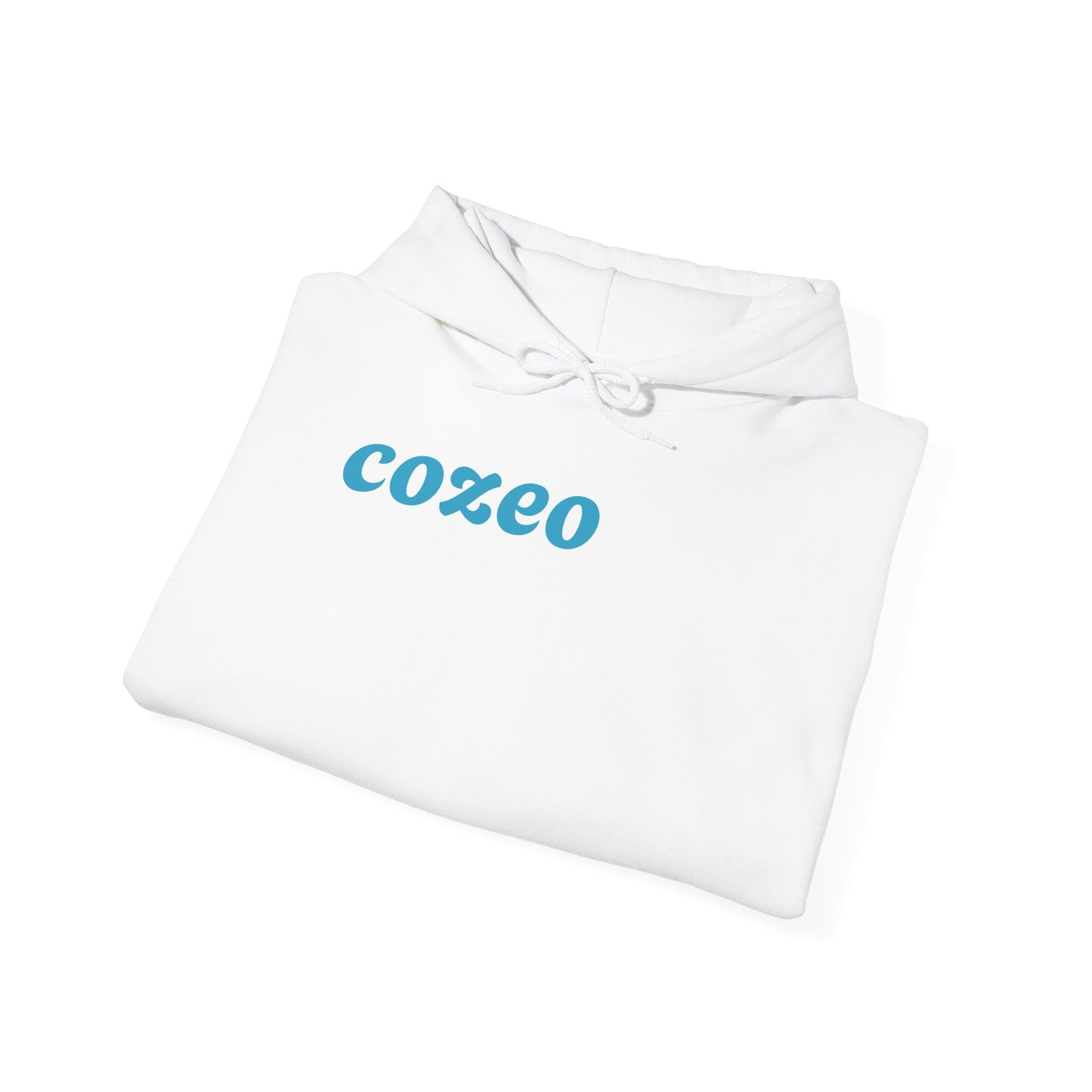 Authentic Cozeo Graphic Hoodie Heavy Blend Sweatshirt, Cute Bear Hoodie, Casual Wear, Fall Fashion, Gift for Teens