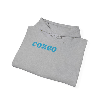 Authentic Cozeo Graphic Hoodie Heavy Blend Sweatshirt, Cute Bear Hoodie, Casual Wear, Fall Fashion, Gift for Teens