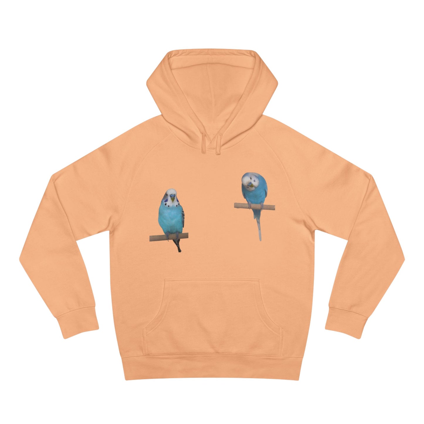 Charming Bird Lover Hoodie,  Supply Hoodie, Bird-Themed Apparel, Gift for Bird Owners, Cozy Casual Wear, Cute Sweatshirt