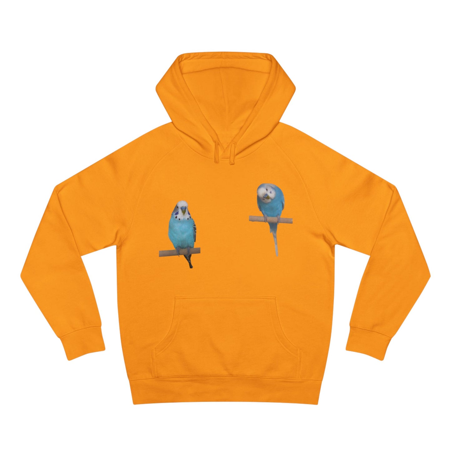 Charming Bird Lover Hoodie,  Supply Hoodie, Bird-Themed Apparel, Gift for Bird Owners, Cozy Casual Wear, Cute Sweatshirt