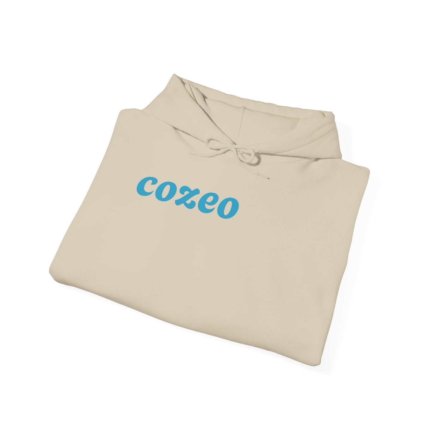 Authentic Cozeo Graphic Hoodie Heavy Blend Sweatshirt, Cute Bear Hoodie, Casual Wear, Fall Fashion, Gift for Teens