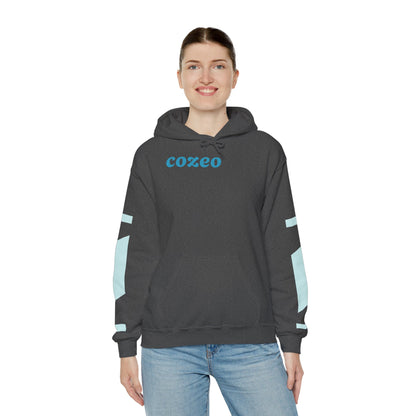 Authentic Cozeo Graphic Hoodie Heavy Blend Sweatshirt, Cute Bear Hoodie, Casual Wear, Fall Fashion, Gift for Teens