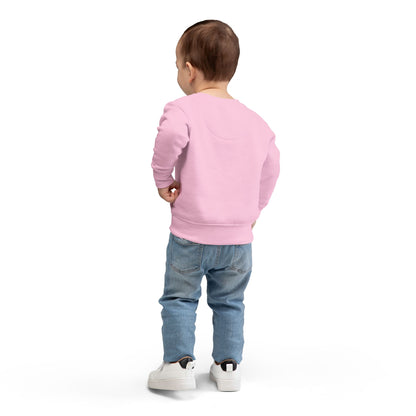 Cozy Toddler Sweatshirt - Perfect for Playdates, Birthdays, and Everyday Adventures, Kids Apparel, Cute Sweater, Gift Idea