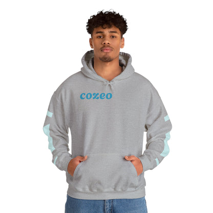 Authentic Cozeo Graphic Hoodie Heavy Blend Sweatshirt, Cute Bear Hoodie, Casual Wear, Fall Fashion, Gift for Teens