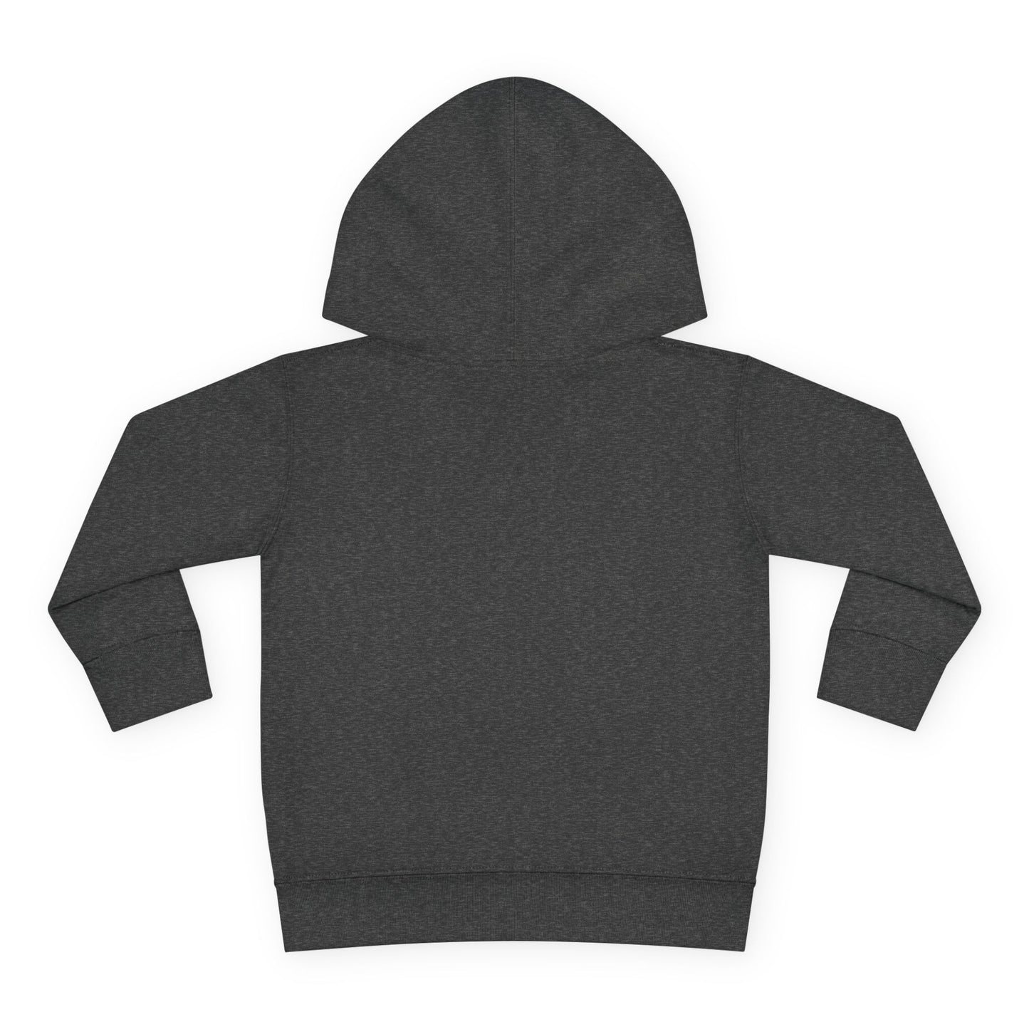 Cute Toddler Pullover Fleece Hoodie, Baby Sweatshirt, Kids Fashion Hoodie, Toddler Gifts, Cozy Childrenswear, Holiday Apparel