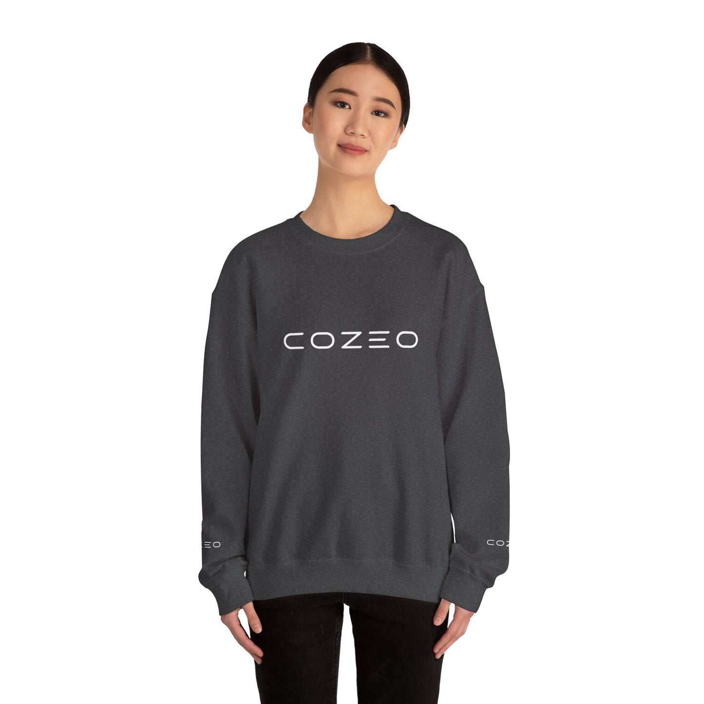 Cozeo Embroidered Chest Crewneck Sweatshirt