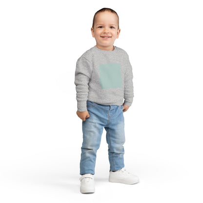 Minimalist Toddler Sweatshirt - Cute Kids Apparel, Perfect for Casual Wear, Gift for Toddlers, Birthday Celebrations, Everyday Style