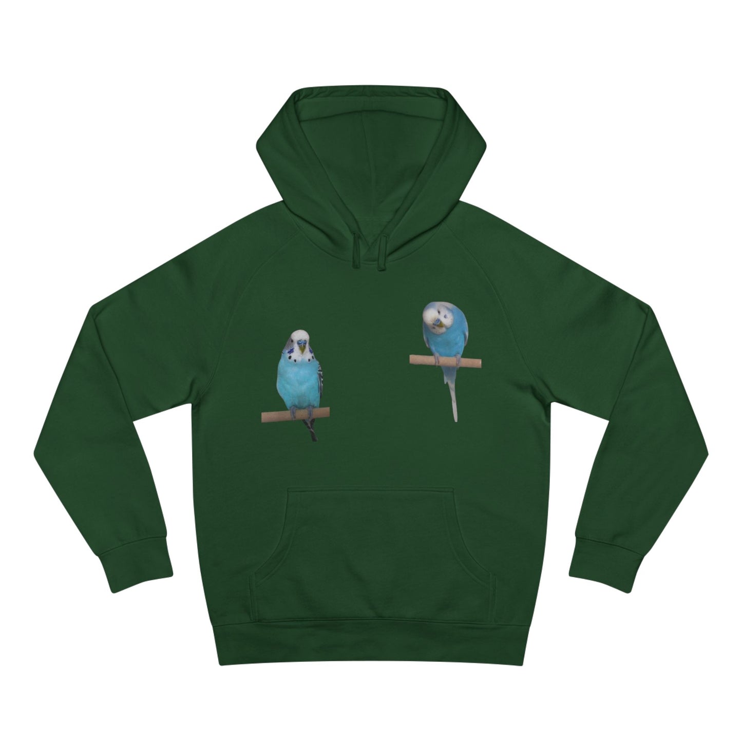 Charming Bird Lover Hoodie,  Supply Hoodie, Bird-Themed Apparel, Gift for Bird Owners, Cozy Casual Wear, Cute Sweatshirt