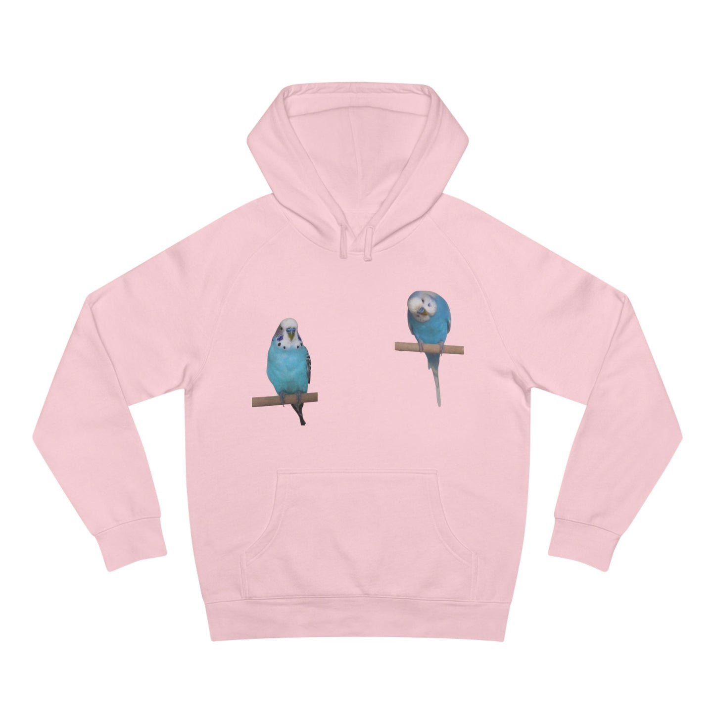 Charming Bird Lover Hoodie,  Supply Hoodie, Bird-Themed Apparel, Gift for Bird Owners, Cozy Casual Wear, Cute Sweatshirt