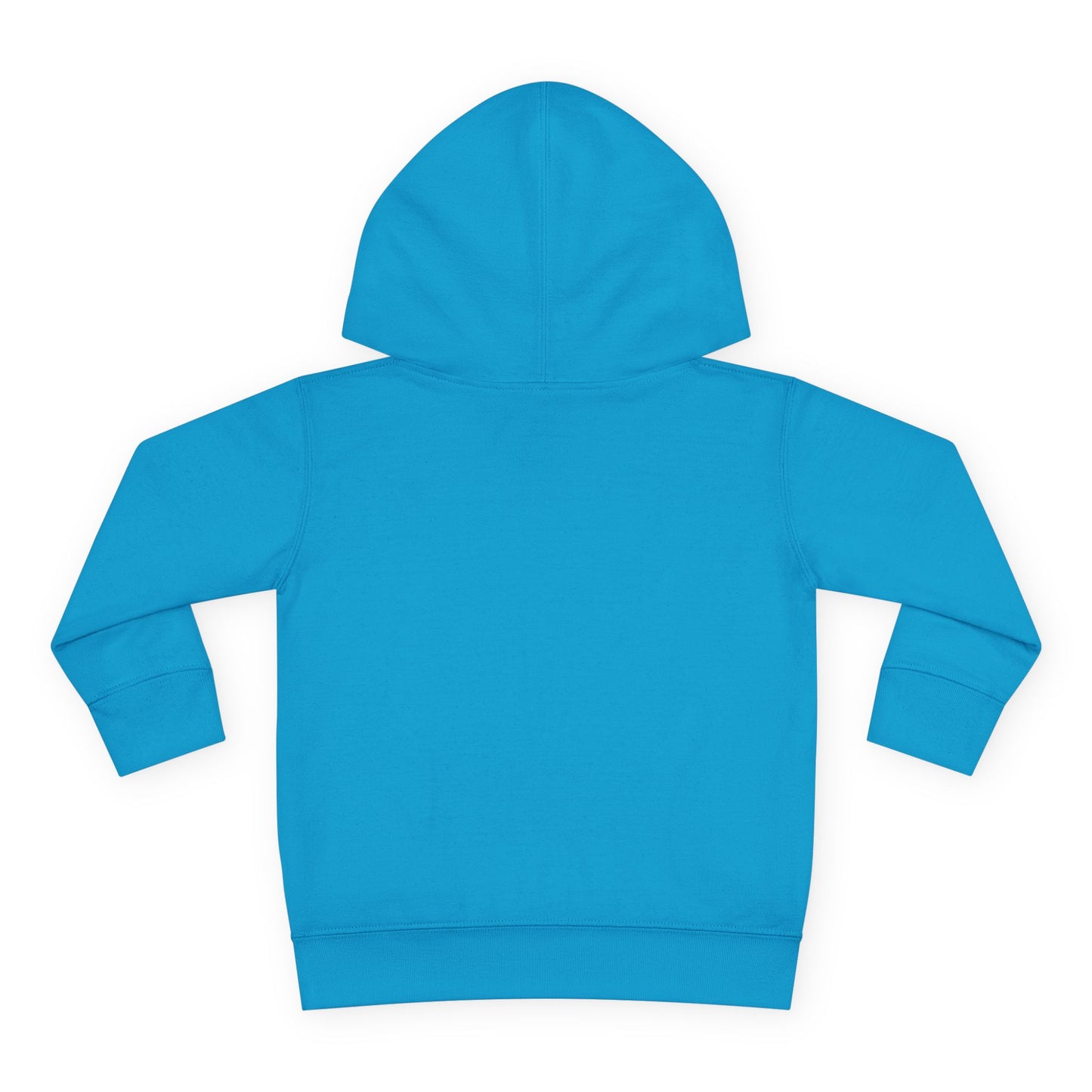 Cute Toddler Pullover Fleece Hoodie, Baby Sweatshirt, Kids Fashion Hoodie, Toddler Gifts, Cozy Childrenswear, Holiday Apparel