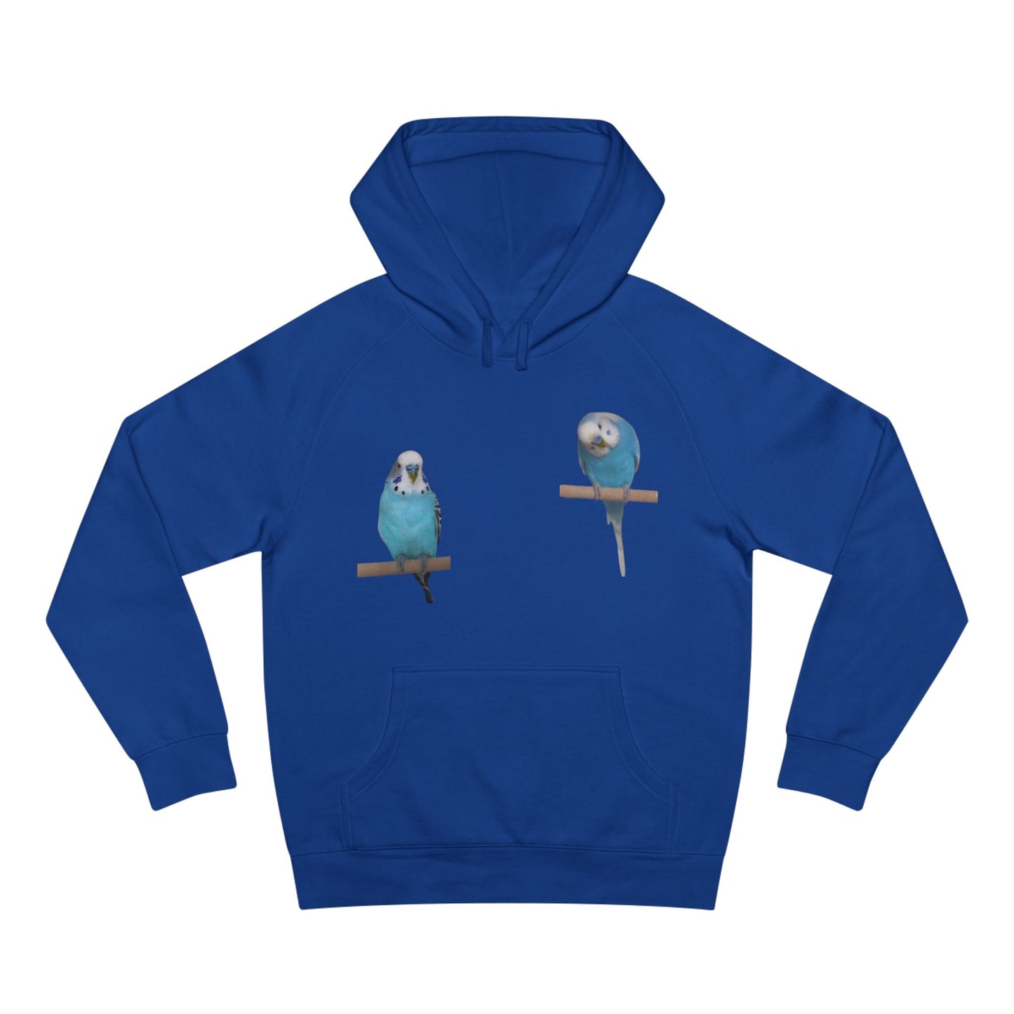 Charming Bird Lover Hoodie,  Supply Hoodie, Bird-Themed Apparel, Gift for Bird Owners, Cozy Casual Wear, Cute Sweatshirt