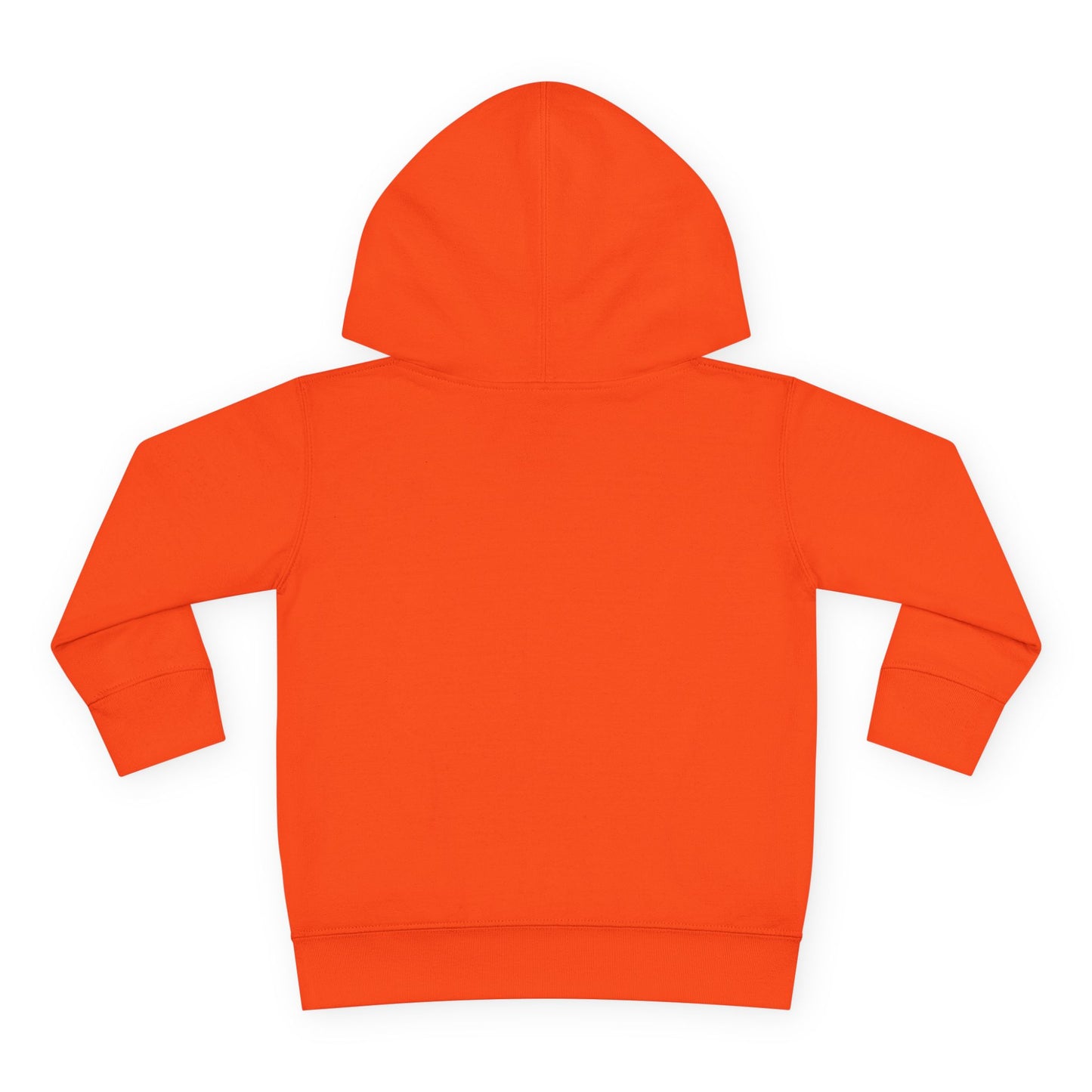 Cute Toddler Pullover Fleece Hoodie, Baby Sweatshirt, Kids Fashion Hoodie, Toddler Gifts, Cozy Childrenswear, Holiday Apparel