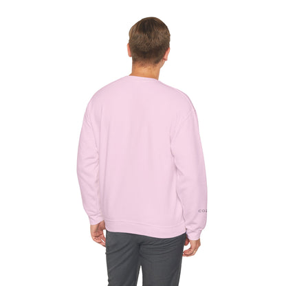 Embroidered  Crewneck Sweatshirt — cozeo